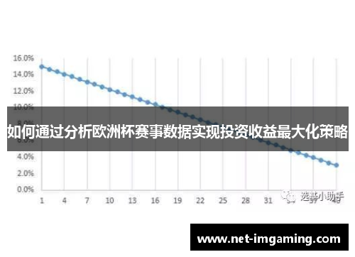 如何通过分析欧洲杯赛事数据实现投资收益最大化策略